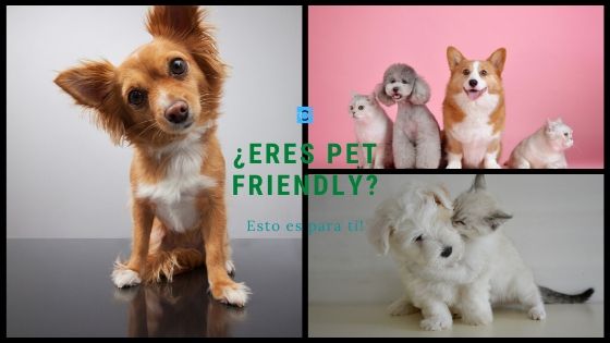 eres pet friendly?